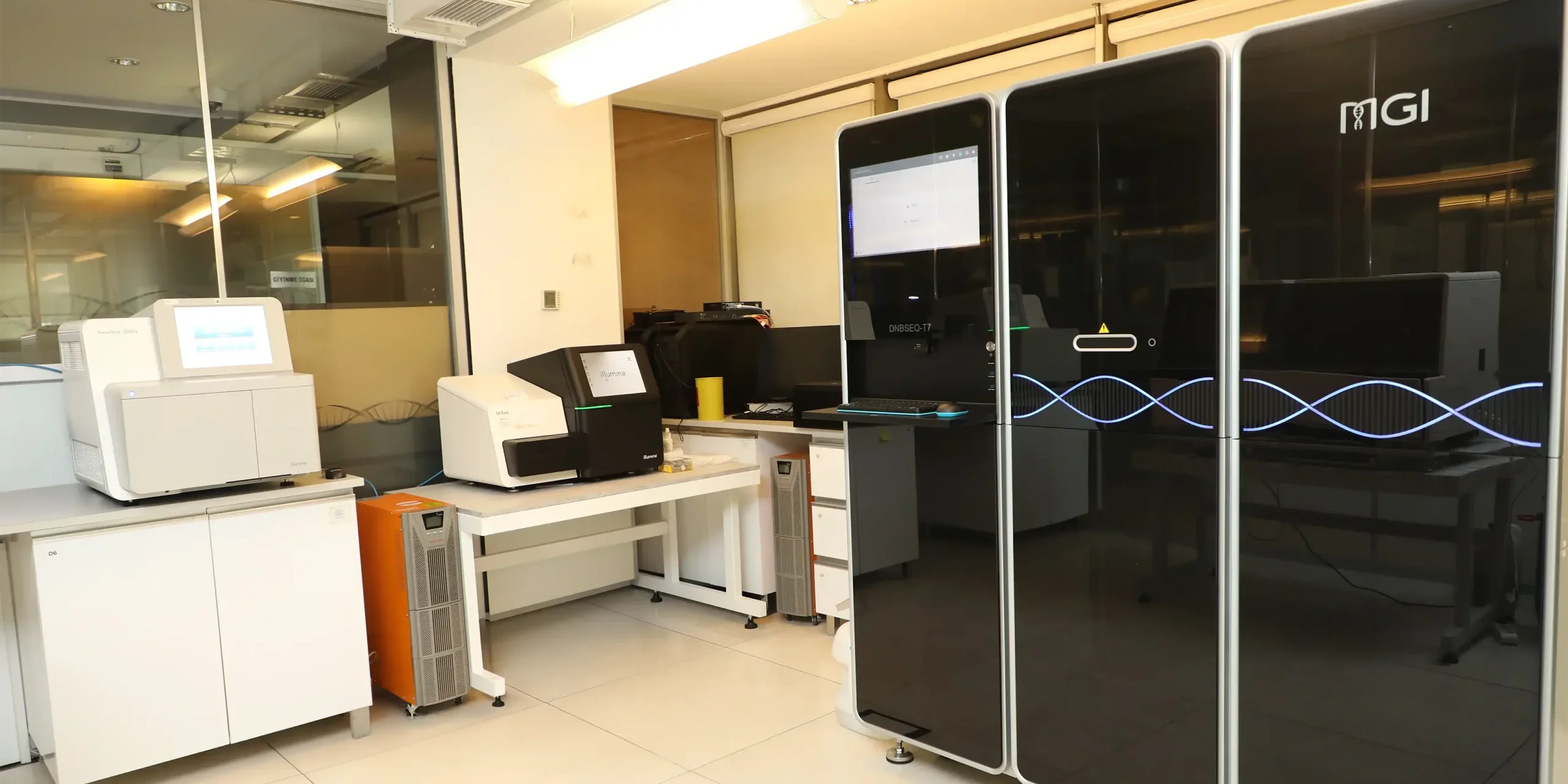 lab